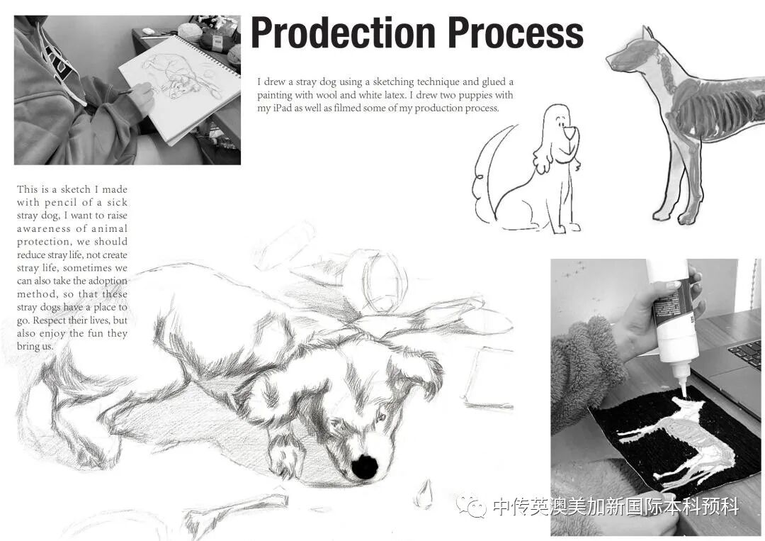 “艺·述”--插画专业:2021级1+3英澳美加新国际预科毕业作品展