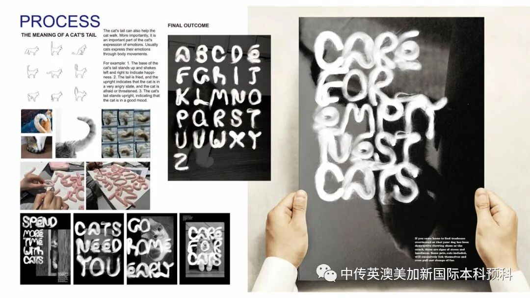 “艺·述”--平面设计专业:2021级1+3英澳美加新国际预科毕业作品展