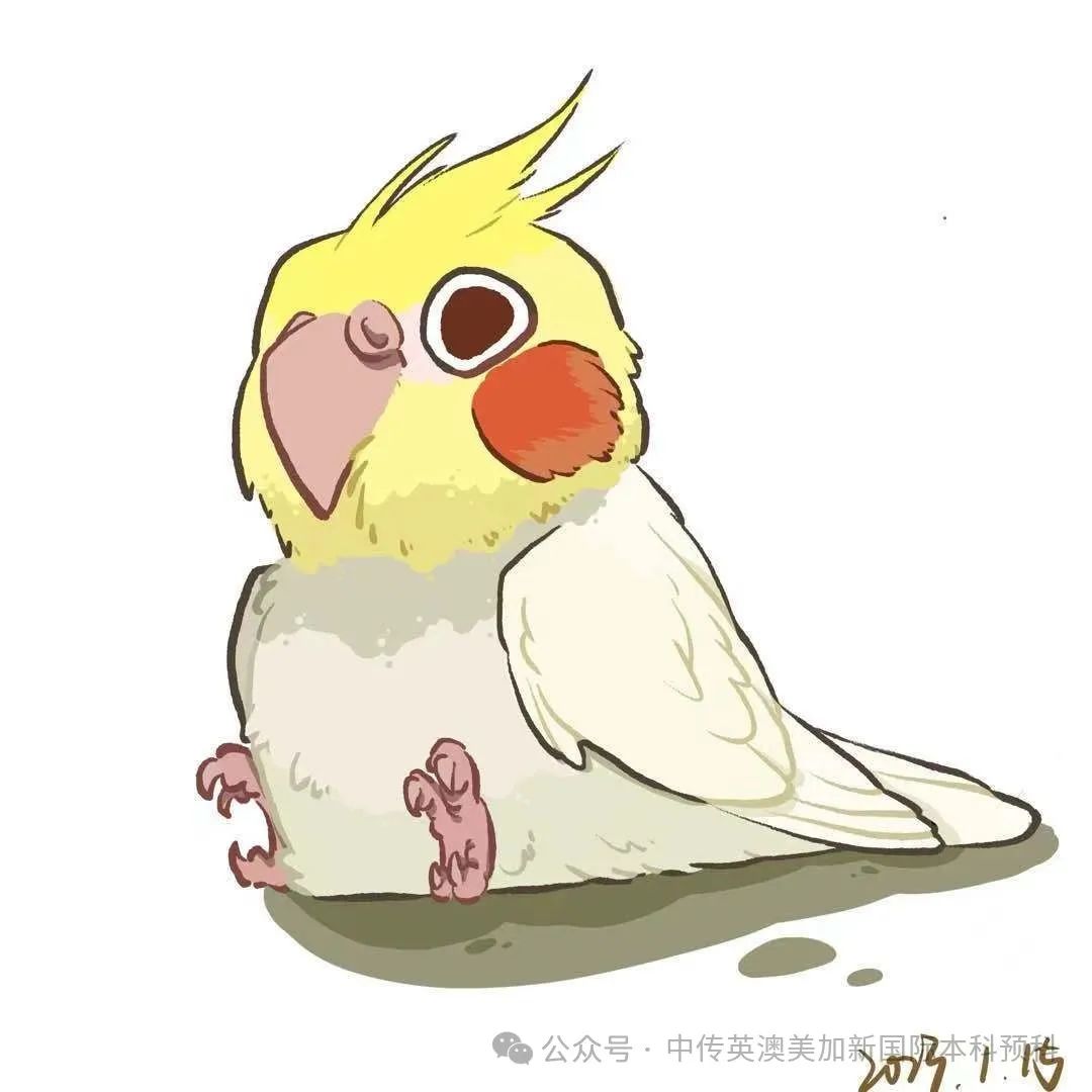 2025级新生 | 画笔为舟，雅思作桨：她这样走向概念艺术之梦