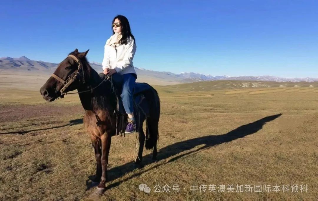 设计不设限:一个"零基础"高二学生的悉尼大学升学启示录