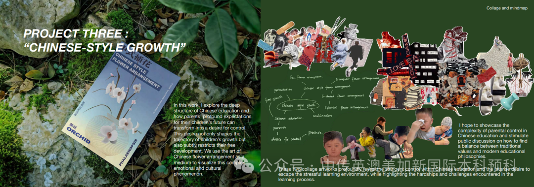 设计不设限:一个"零基础"高二学生的悉尼大学升学启示录